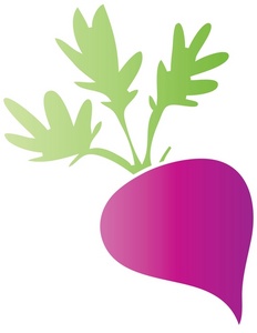 simple cartoon drawing of a purple beet fresh from the produce section or the garden